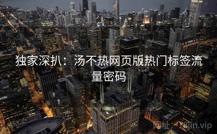 独家深扒：汤不热网页版热门标签流量密码