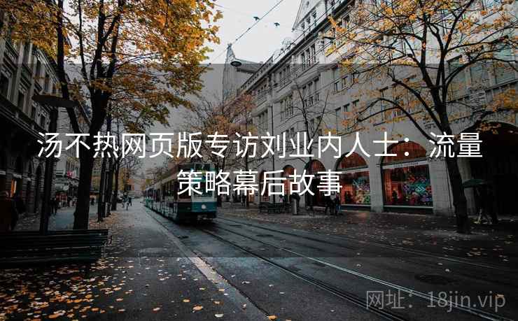 汤不热网页版专访刘业内人士：流量策略幕后故事