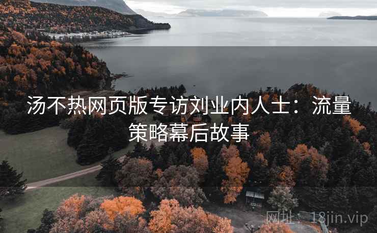 汤不热网页版专访刘业内人士：流量策略幕后故事