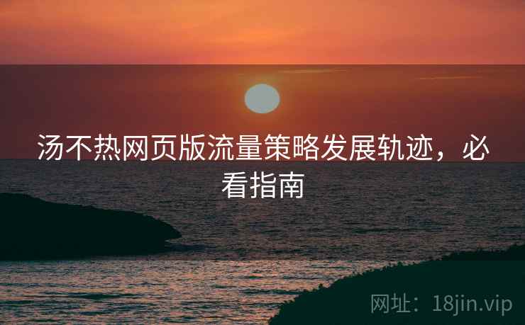 汤不热网页版流量策略发展轨迹，必看指南