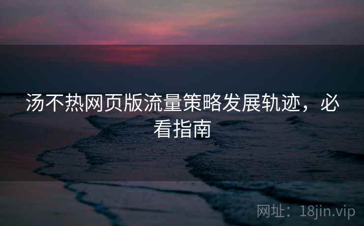 汤不热网页版流量策略发展轨迹，必看指南