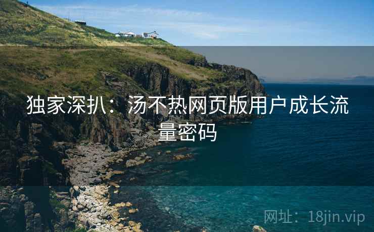 独家深扒：汤不热网页版用户成长流量密码