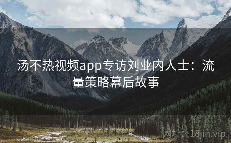 汤不热视频app专访刘业内人士：流量策略幕后故事