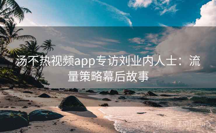 汤不热视频app专访刘业内人士:流量策略幕后故事 汤不热视频app专访刘业内人士:流量策略幕后故事