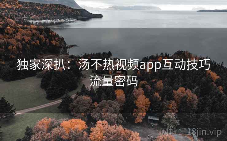 独家深扒:汤不热视频app互动技巧流量密码 独家深扒:汤不热视频app互动技巧流量密码